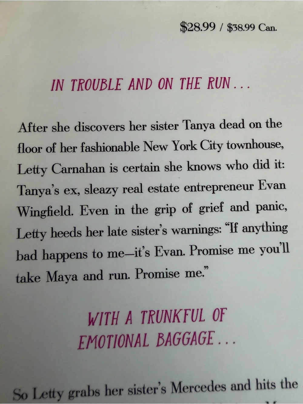 The Newcomer by Mary Kay Andrews